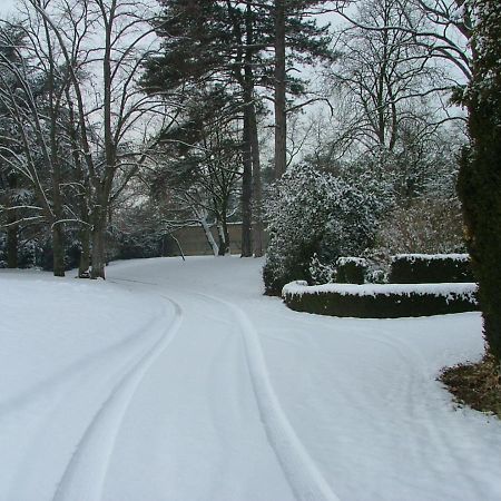 Chateau Des Charmes Guereins Exterior foto